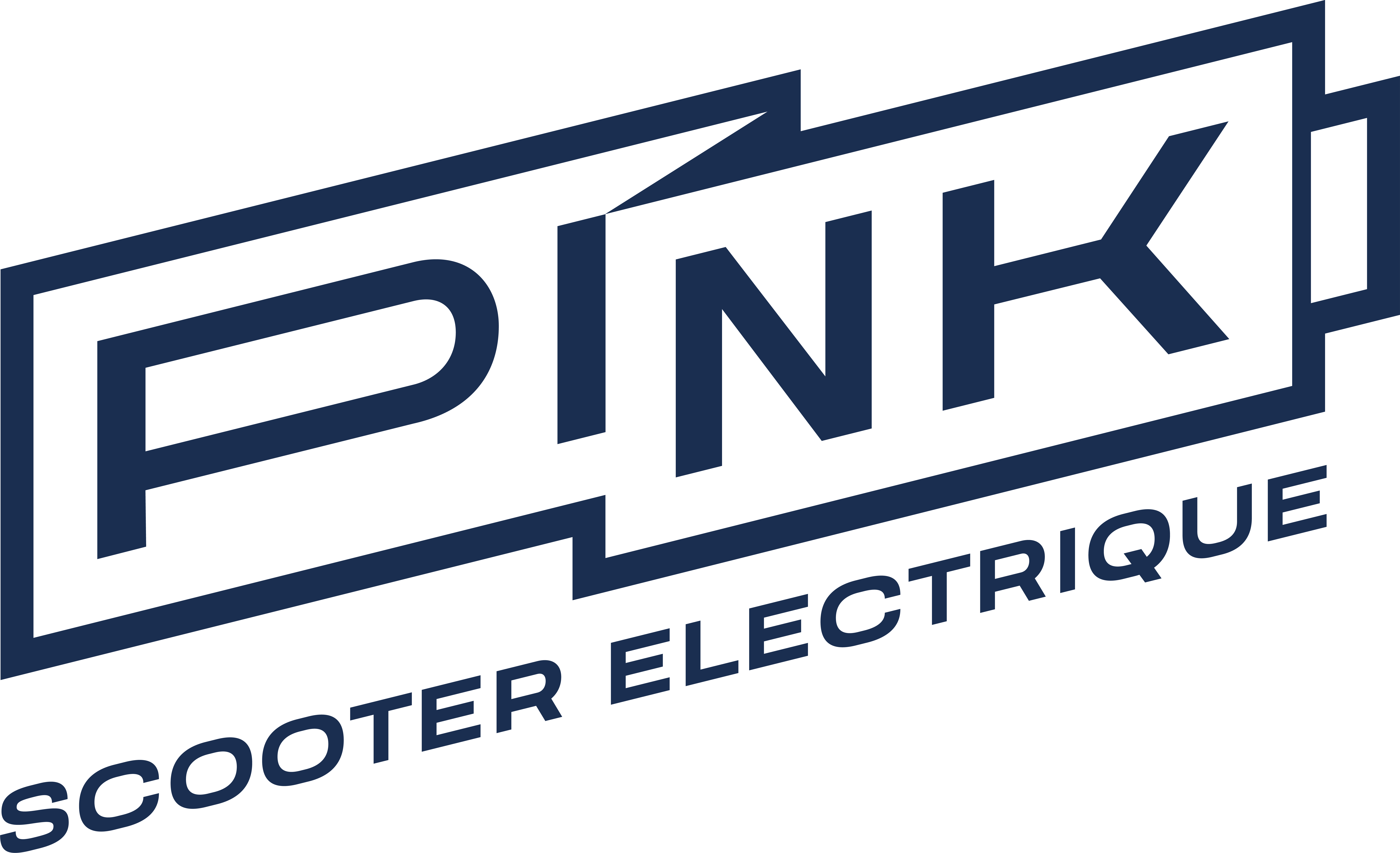 Logo PINK MOBILITY